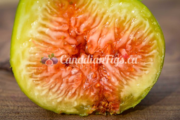 Figs ripened tree picked morning few Figs ripened tree picked morning few