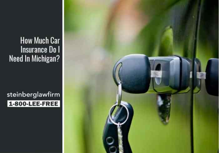 Why is car insurance so expensive in michigan
