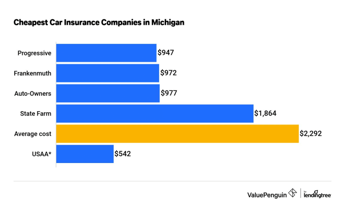 Why is michigan car insurance so high