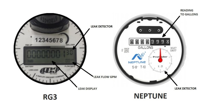 Methods to Learn a Neptune Water Meter  A Information for the Confused