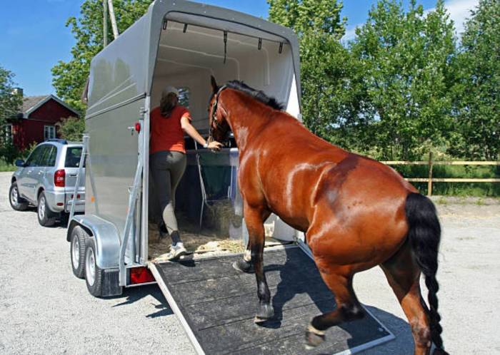 How to move when you own a hourse