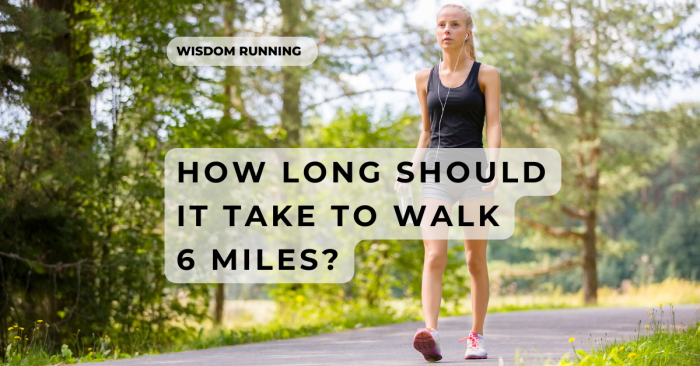 How Lengthy Does It Take to Drive 600 Miles? A Vital Evaluation