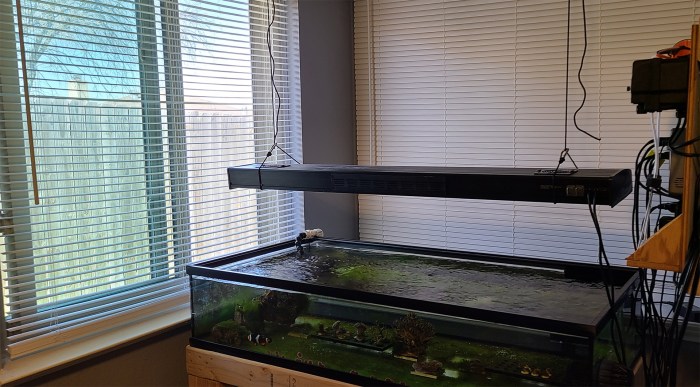 Mastering Reef Tank pH How you can Increase pH