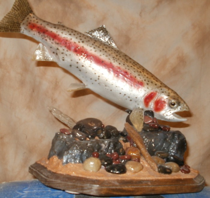 Methods to Taxidermy a Fish A Complete Information