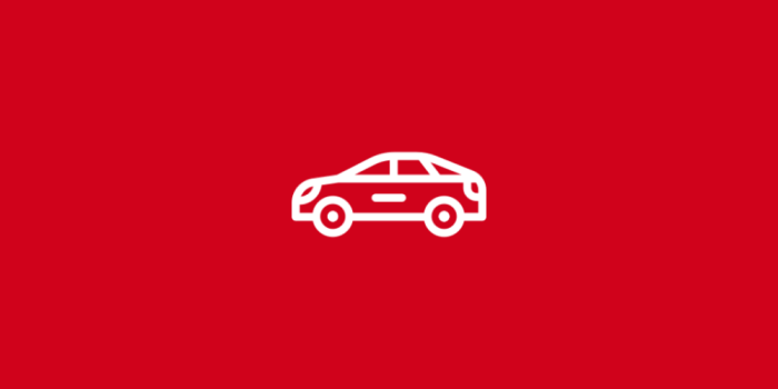 Pink Automotive Insurance coverage Brownsville TX Your Information