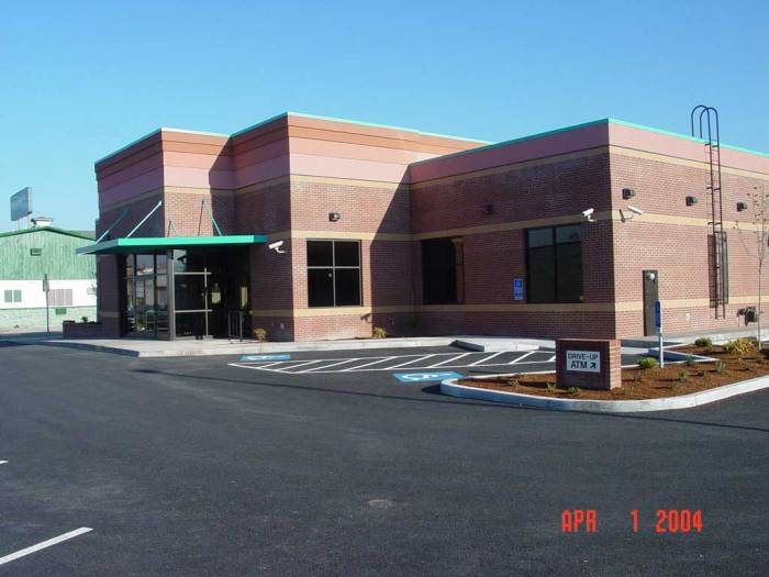Rogue credit union car insurance