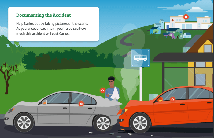 Verifying Chriss Automotive Insurance coverage Everfis Function