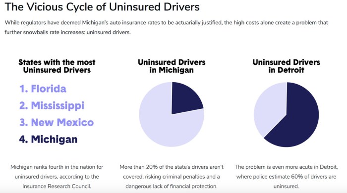 Why Is Michigan Automotive Insurance coverage So Costly?