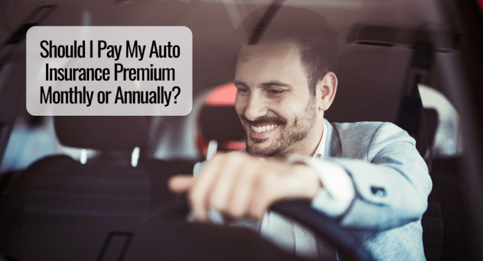 Can You Pay Automobile Insurance coverage Yearly? A Complete Information