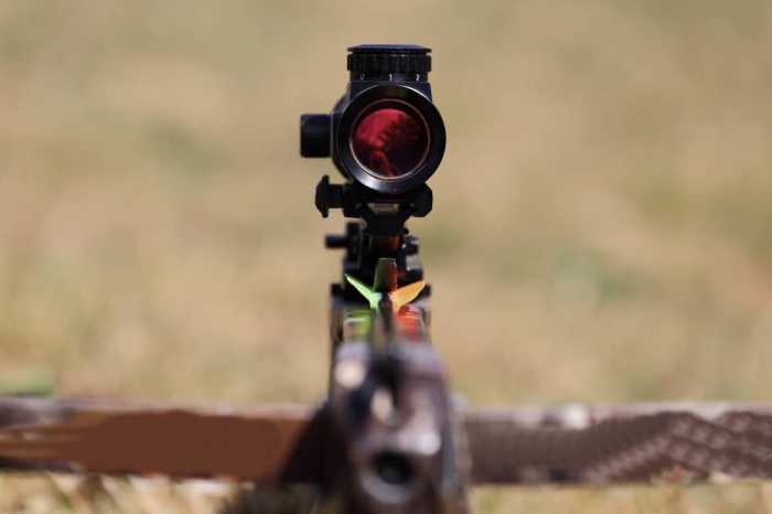 Mastering Crossbow Sighting A Complete Information