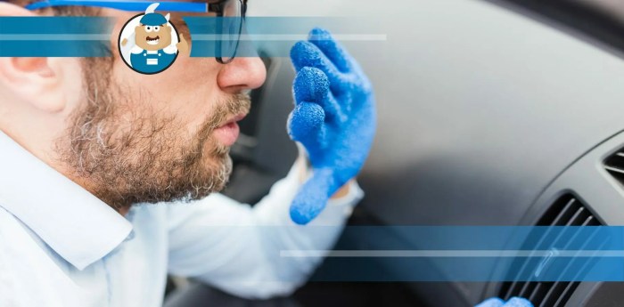 How to get skunk smell out of a car