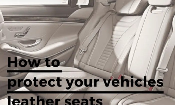 Easy methods to Defend Leather-based Automobile Seats A Timeless Information