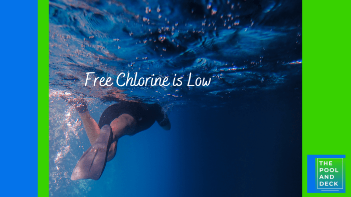 How one can Elevate Free Chlorine A Complete Information