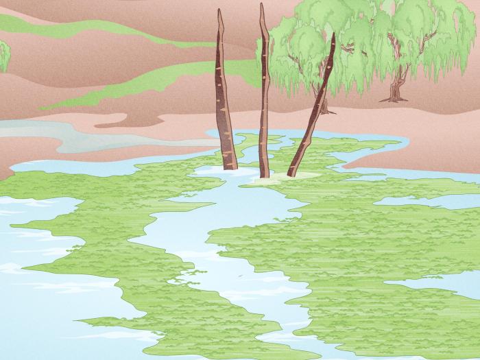 Pumpandcleanseptic how to check septic tank is full