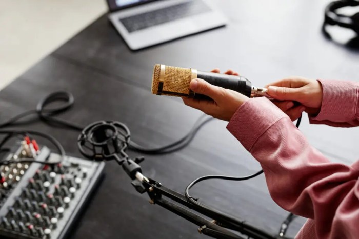 The best way to Place Ground Boundary Mics A Complete Information