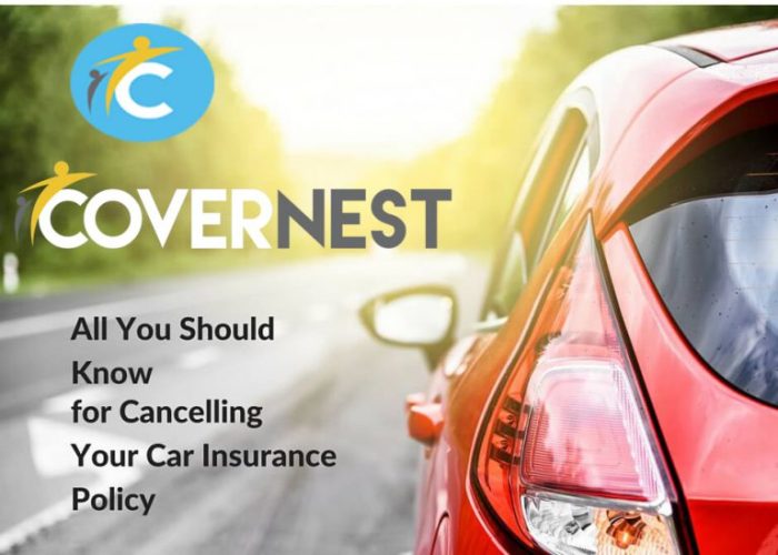 Direct Line Cancel Automobile Insurance coverage Your Information