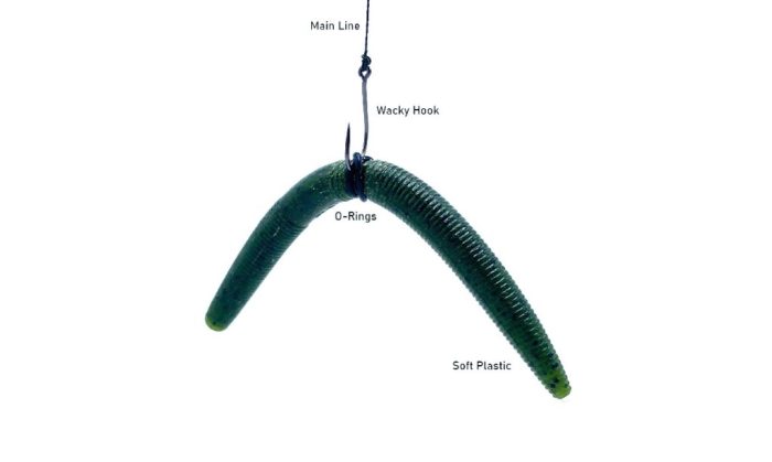 Wacky rig rings tool ring senko harmony finesse fishing How to wacky rig