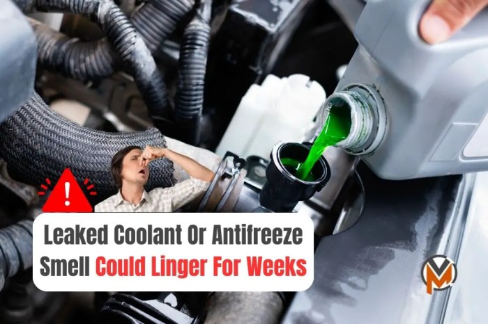 How Lengthy Does Coolant Take to Burn Off From Spill?