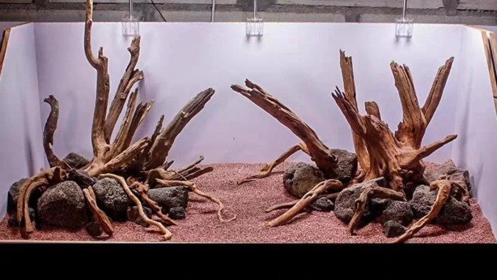 How to prepare driftwood for aquarium