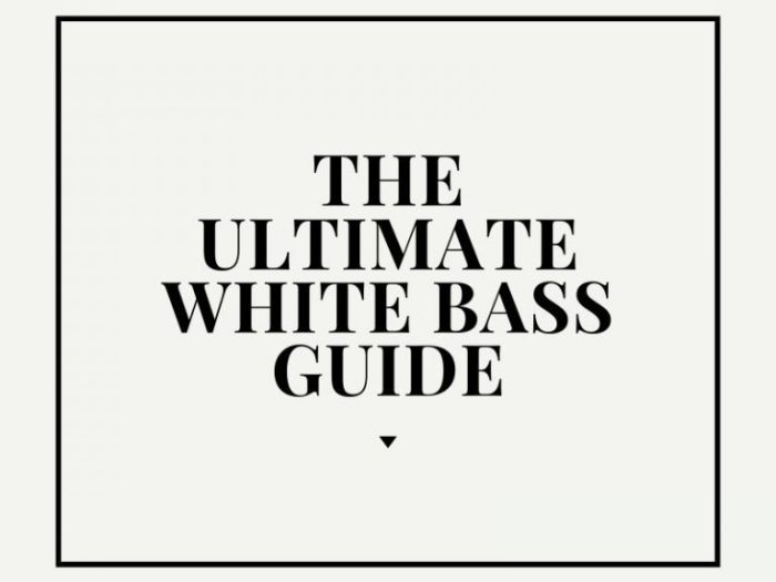 How to catch white bass