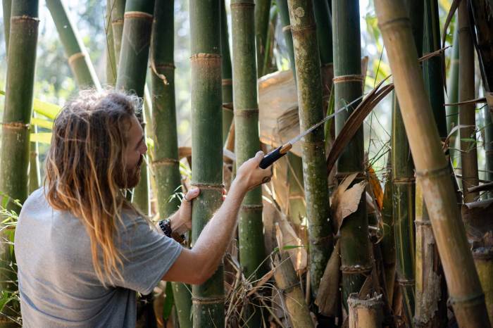 How to protect bamboo construction in a wet climate
