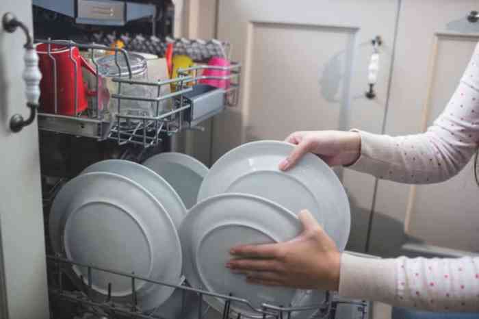 The right way to Clear Swedish Dishcloths A Complete Information
