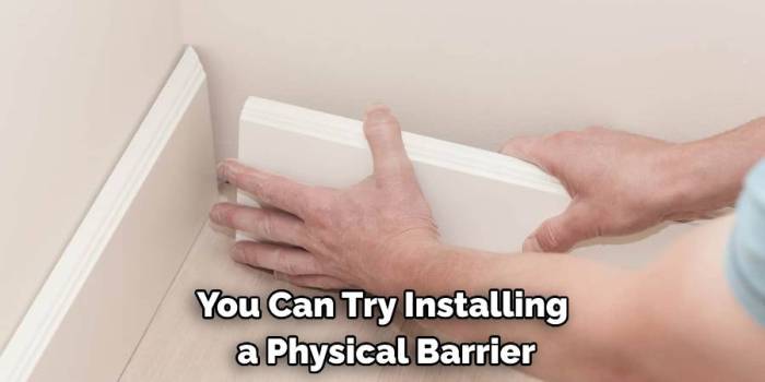 Stopping Bunny Baseboard Bites