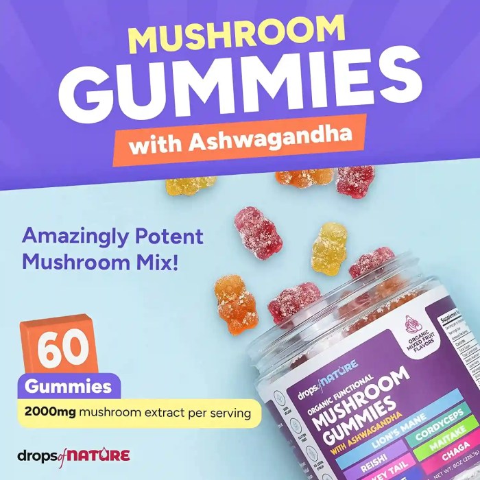 Find out how to Make Mushroom Gummies A Information
