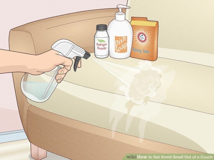 Banishing Vomit Scent from Your Sofa