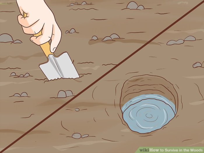 Methods to Keep Alive within the Woods A Survival Information