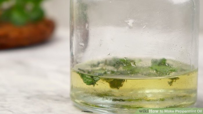 The best way to Make a Peppermint Oil Spray Your Information