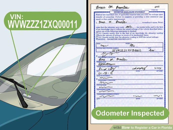 Florida Automotive Registration Insurance coverage Necessities