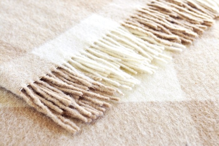 The way to Wash Alpaca Blanket A Mild Information