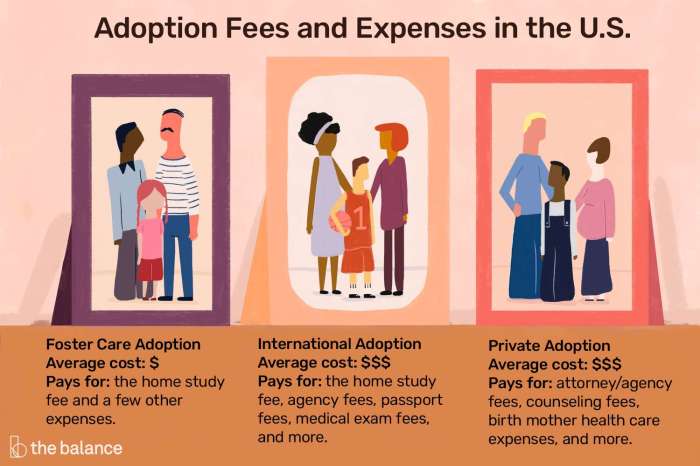 How much does it cost to reverse an adoption