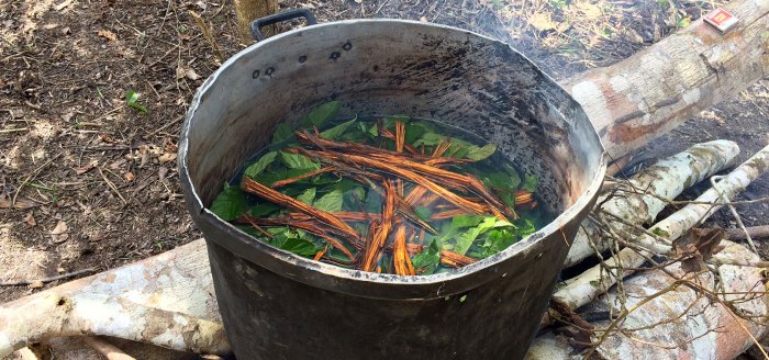 How one can Cook dinner Ayahuasca A Complete Information