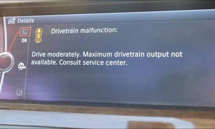 BMW Drivetrain Restore Prices How A lot?