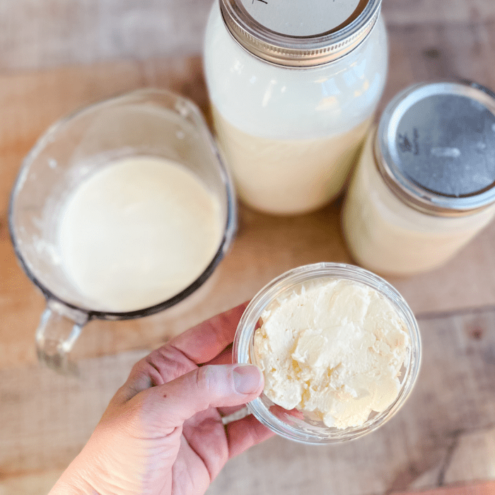 Crafting Uncooked Milk Butter A Complete Information