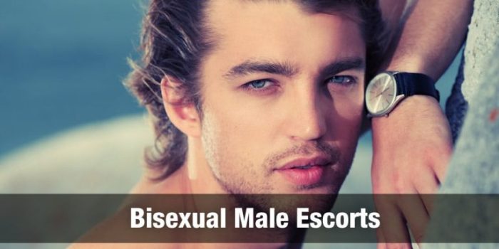 How to become male escorts