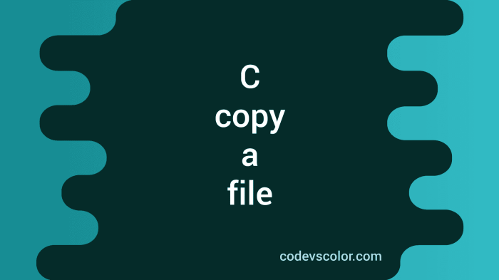 Development programming How to get copy of c
