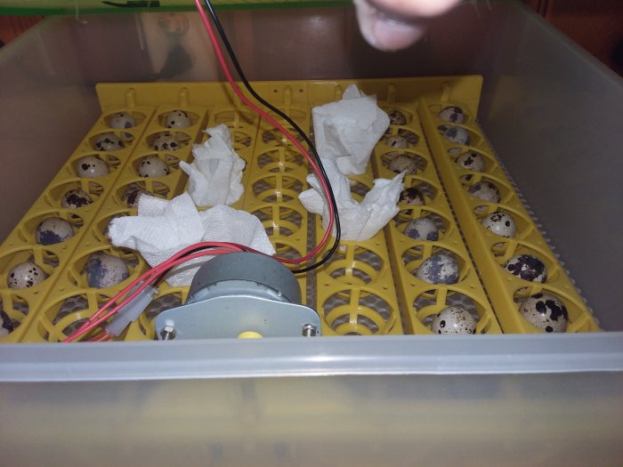Elevating Incubator Humidity A Information