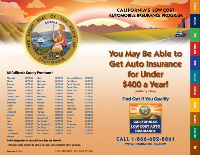 California Automotive Registration Insurance coverage Wanted?