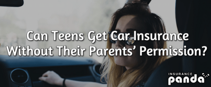 Can I Drive My Mother and father Automobile with Their Insurance coverage? A Information