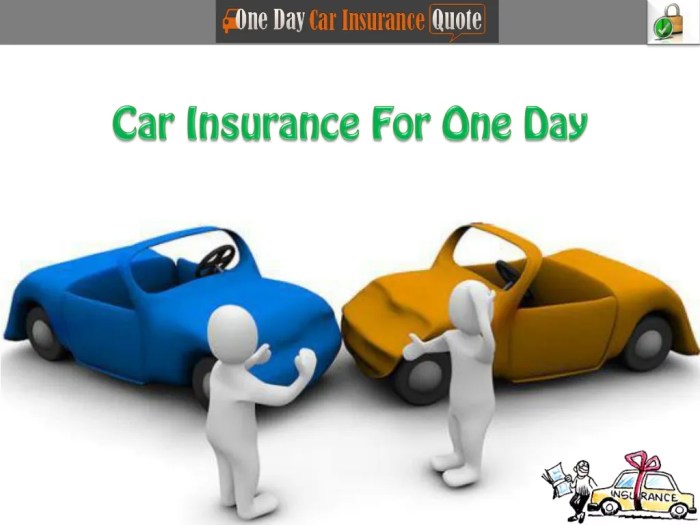 Greenback a Day Automobile Insurance coverage The right way to Apply