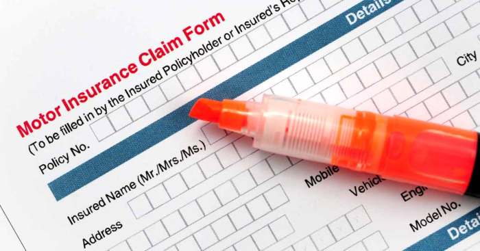 Toggle car insurance phone number