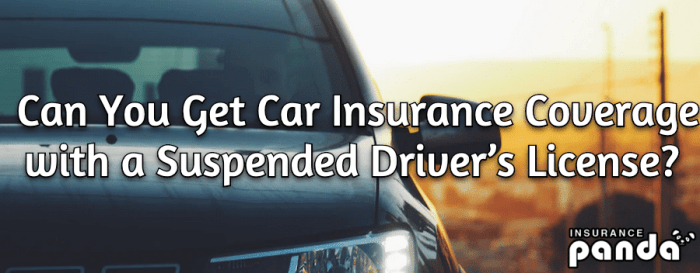 Can i pause my car insurance