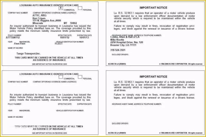 Free car insurance template download