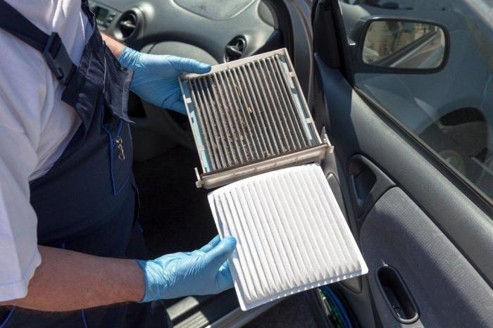 Mann Cabin air filter how often to change