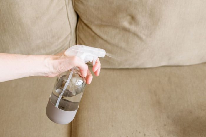 The right way to Disinfect a Sofa A Complete Information