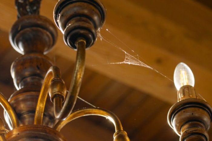 How to prevent cobwebs change your lighting