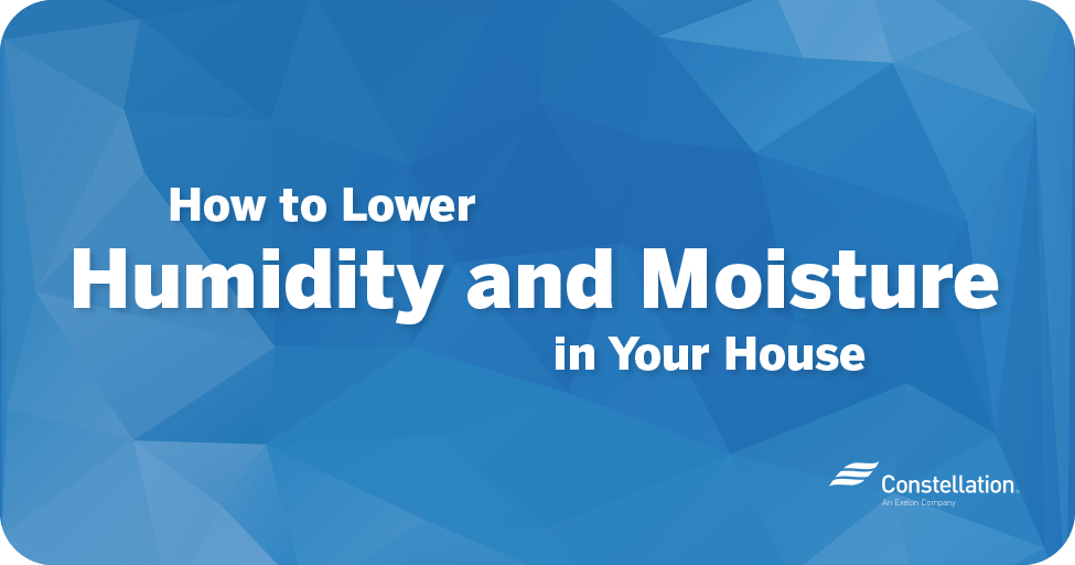 How to raise humidity in house